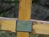 image of grave number 797348